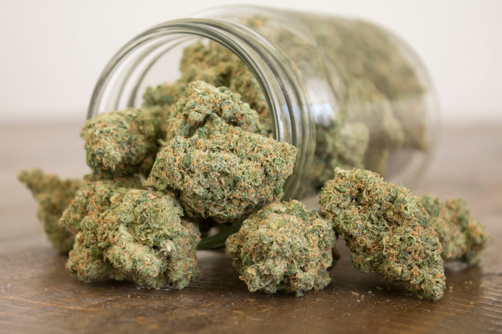CBD Blüten kaufen – Hanfblüten, die dich begeistern werden