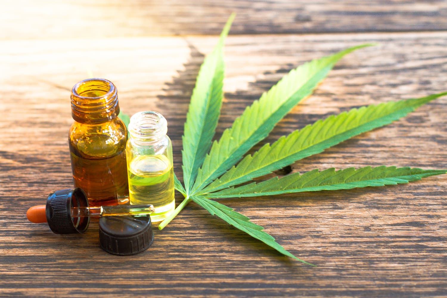 THC Liquid herstellen: Die nächste Stufe der Cannabisöl-Verarbeitung nach Wernard Bruining