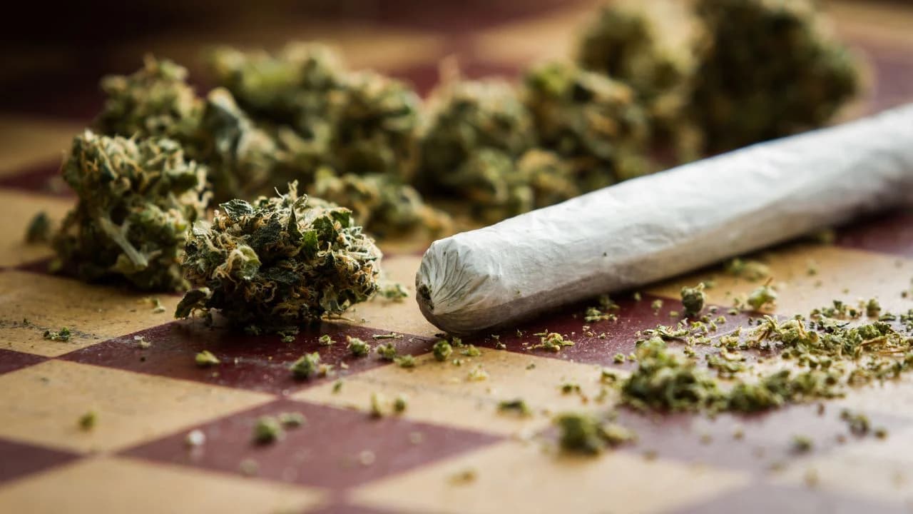 THCA Vape Deutschland – Legale Alternative mit Premium-Cartridges und schneller Lieferung