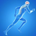 Neuronale Verschaltung Erfolg mit Expertenfakten